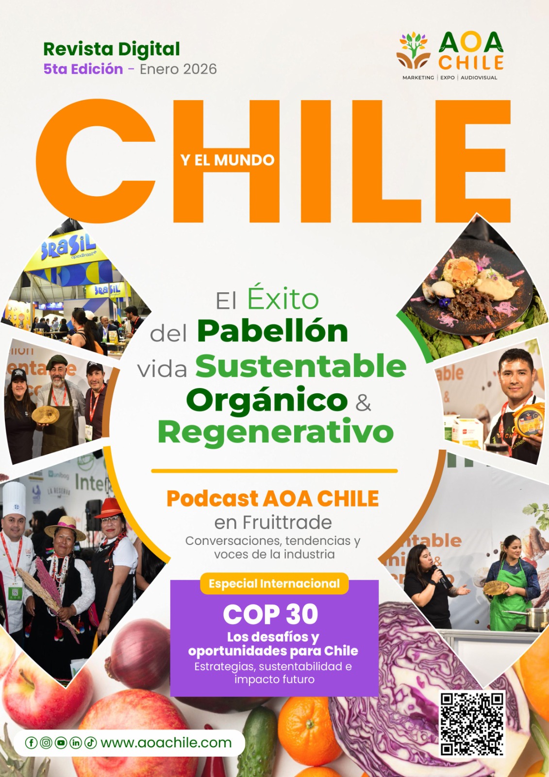 Revista AOA Chile 2026