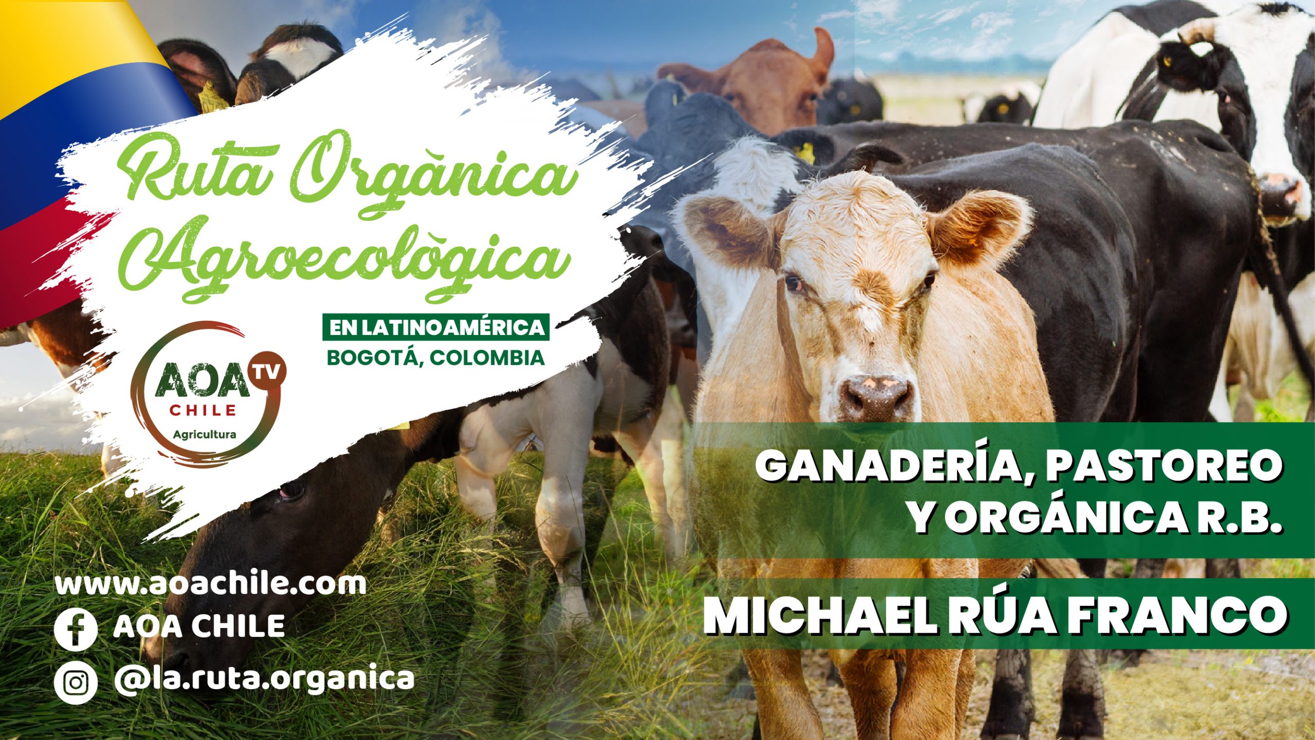 Ruta Orgánica Latinoamérica Temporada 2 – Episodio 10<br></noscript>Dificultades en la producción ganadera ecológica en Colombia