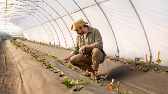 GreenHarvest AgroStore