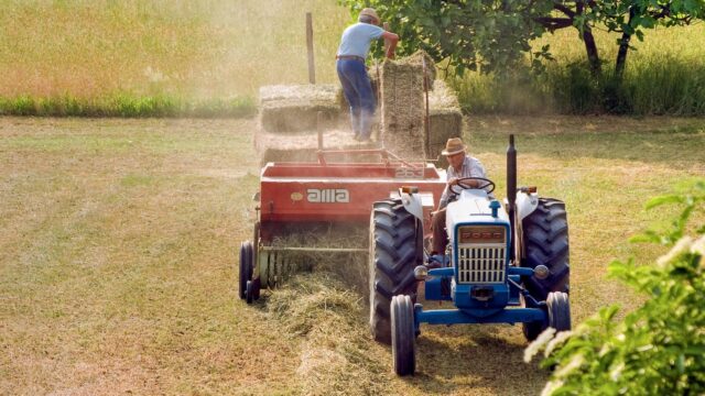 agriculture-g052d655db_1280