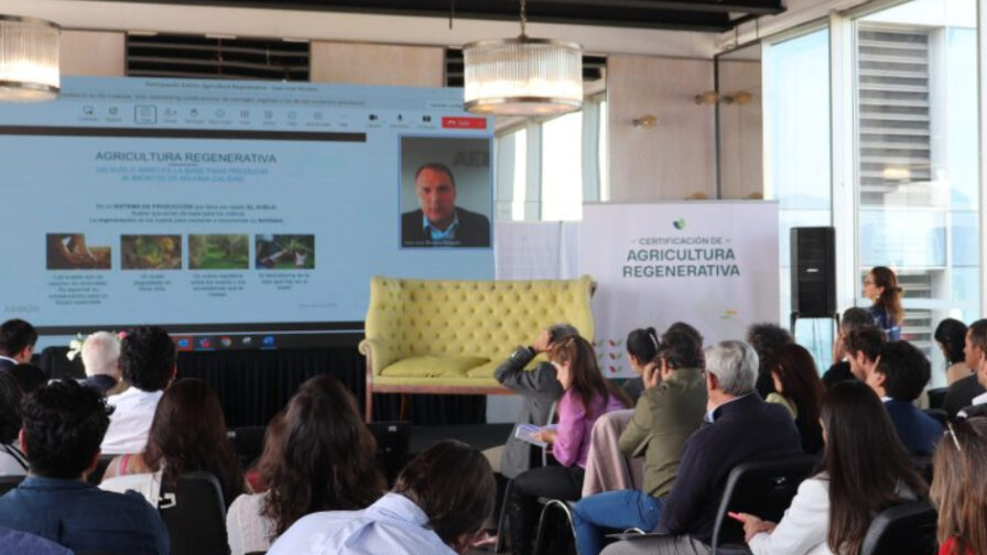 Lanzan certificación de agricultura regenerativa que busca impulsar la sostenibilidad en Chile