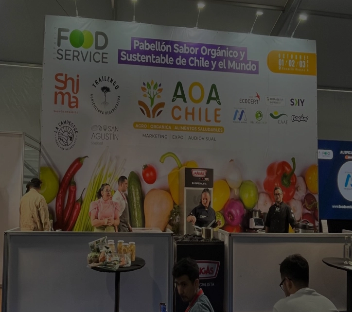 categoria-eventos-desktop