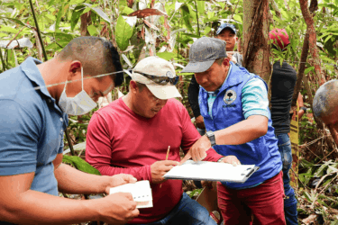 SARA: el programa sudamericano que valida la unión entre ganadería regenerativa y mercados de carbono